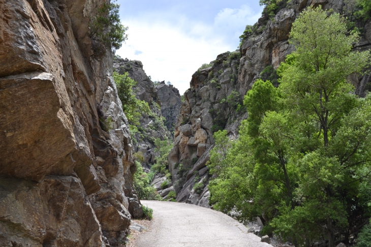 Les Gorges D'Heric ( Mons-la-Trivalle )