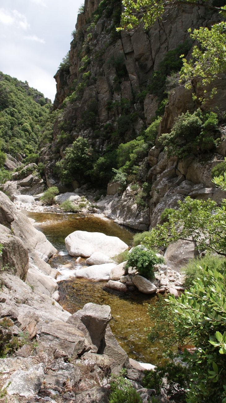 Les Gorges D'Heric ( Mons-la-Trivalle )