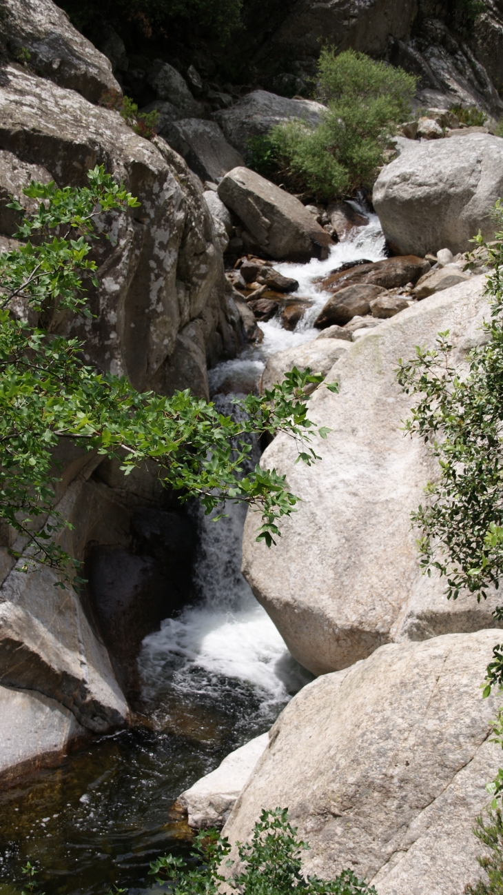 Les Gorges D'Heric ( Mons-la-Trivalle )