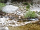 Les Gorges D'Heric ( Mons-la-Trivalle )