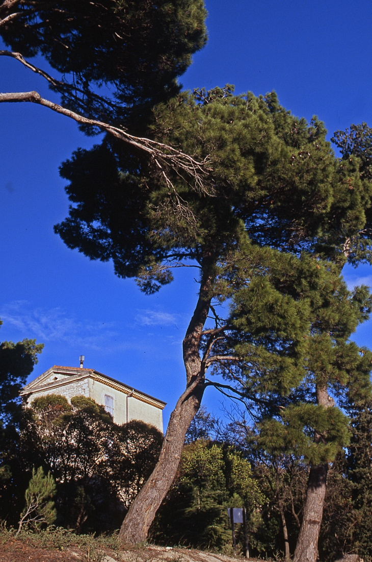 Montels - Copyright Gérard Defrocourt / Office de tourisme du canal du Midi