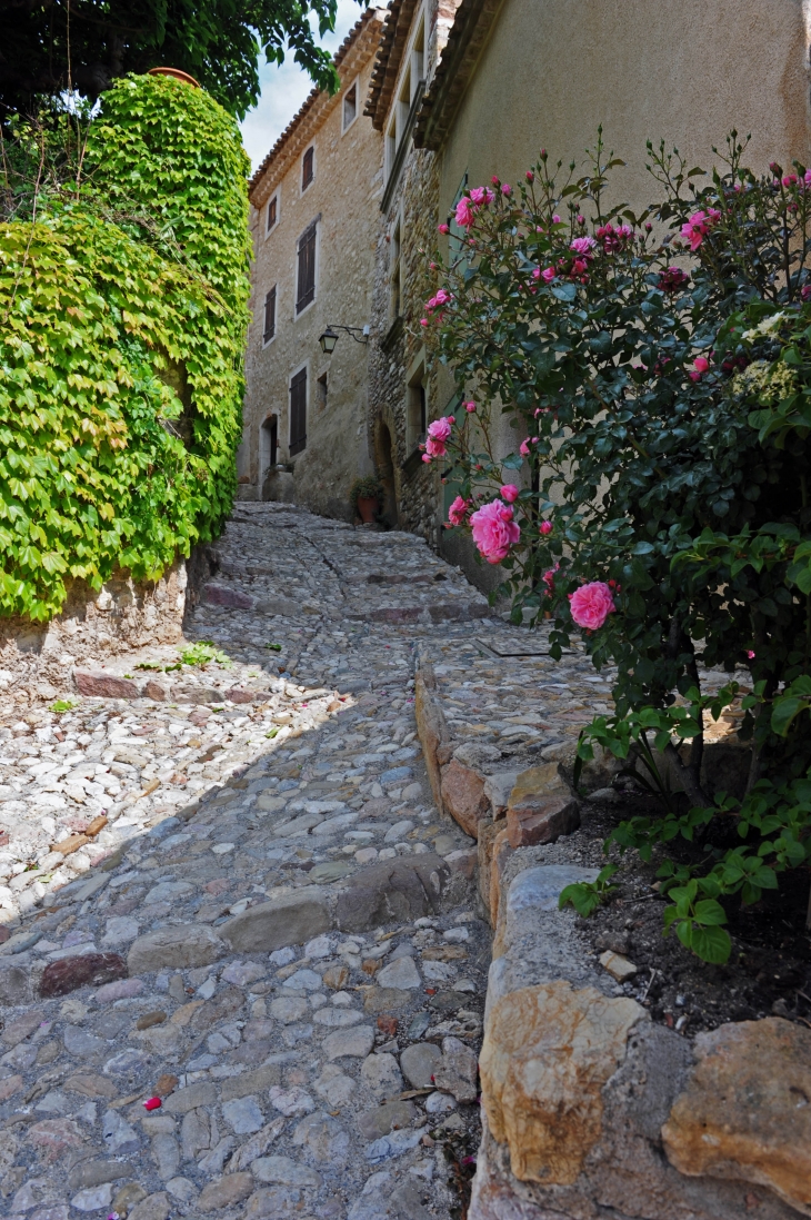 Calades de Montouliers - Copyright Gérard Defrocourt / Office de tourisme du canal du Midi 