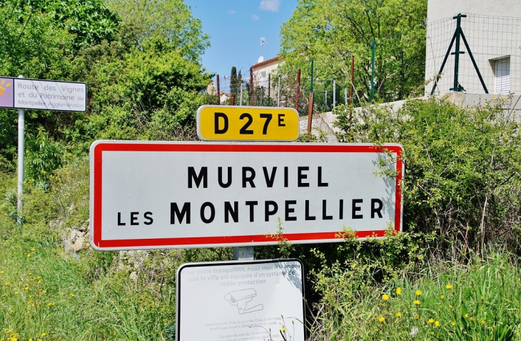  - Murviel-lès-Montpellier