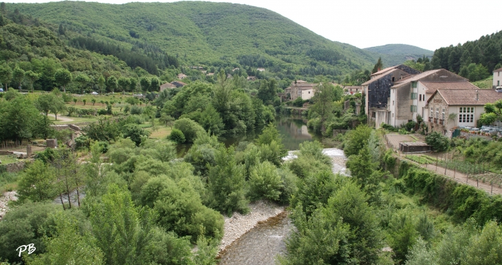 Rivière Le Jaur - Olargues