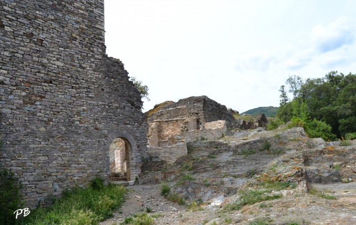 Vestiges du Château et des Remparts - Olargues