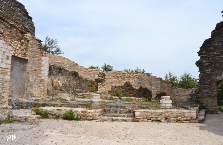 Vestiges du Château et des Remparts - Olargues