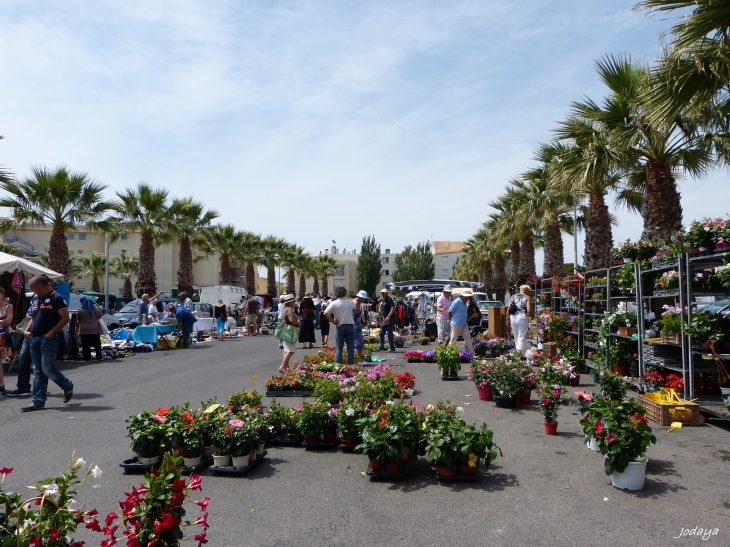 Palavas. Vide-grenier. - Palavas-les-Flots