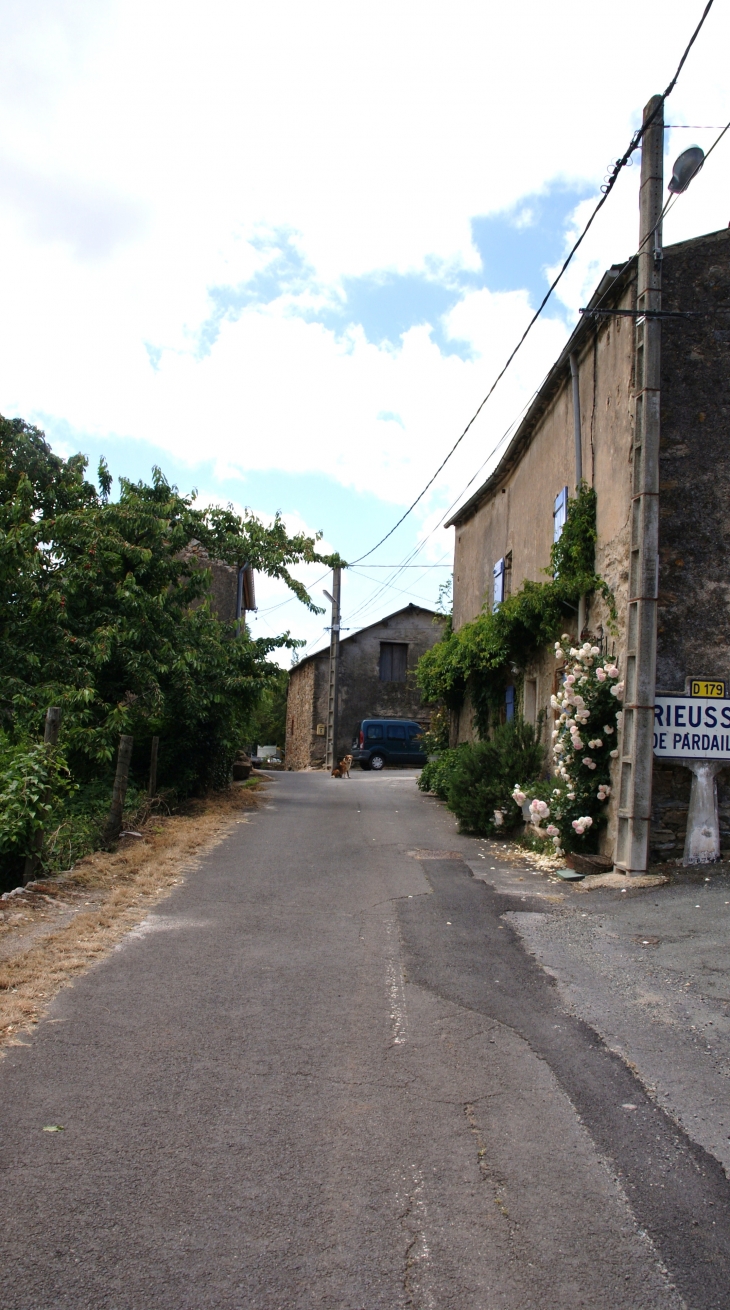 Rieussec commune de Pardailhan