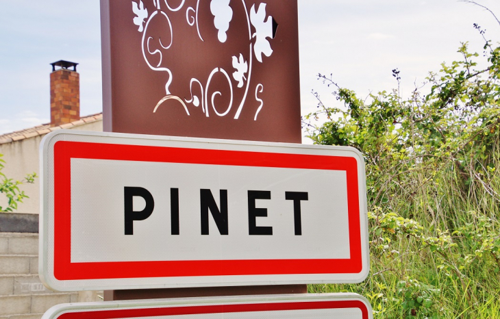  - Pinet