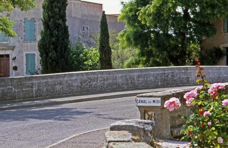 Canal du Midi à Poilhes - Copyright Gérard Defrocourt / Office de tourisme du canal du Midi