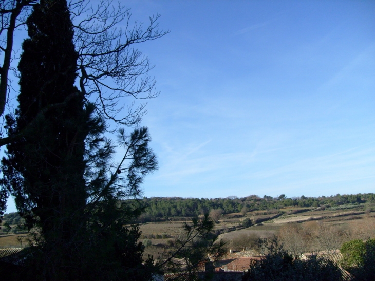 Une vue sur les vignes - Popian