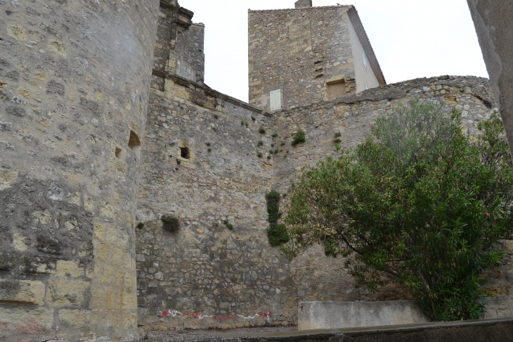 Château de Puissalicon 11 Em Siècle