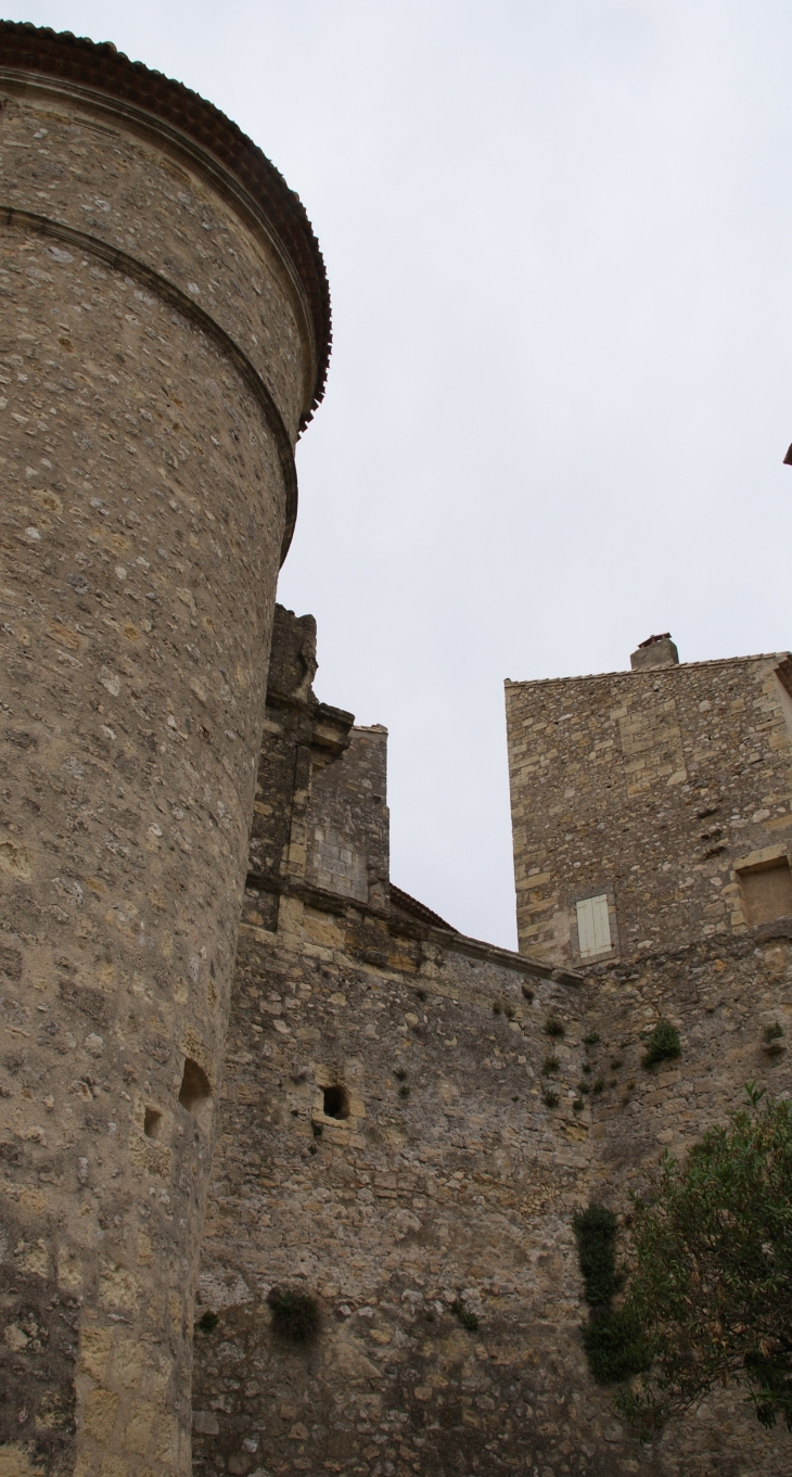 Château de Puissalicon 11 Em Siècle