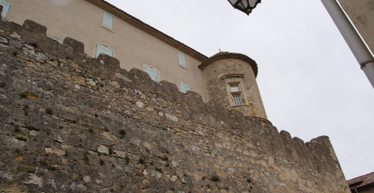 Château de Puissalicon 11 Em Siècle