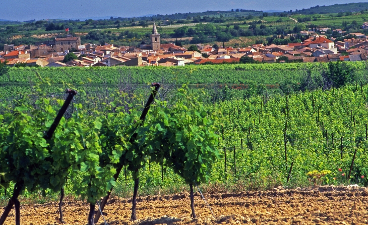 Puisserguier - Copyright Gérard Defrocourt / Office de tourisme du canal du Midi