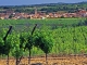 Puisserguier - Copyright Gérard Defrocourt / Office de tourisme du canal du Midi