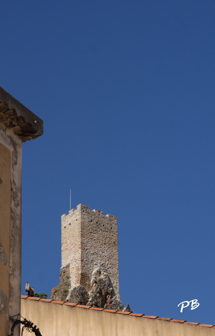 La Tour 10 Em Siècle - Roquebrun