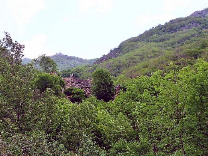 Dans les gorges d'Héric - Rosis