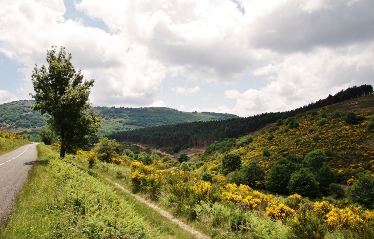 Aux Alentours  - Rosis