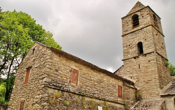 -église Sainte-Marie - Rosis