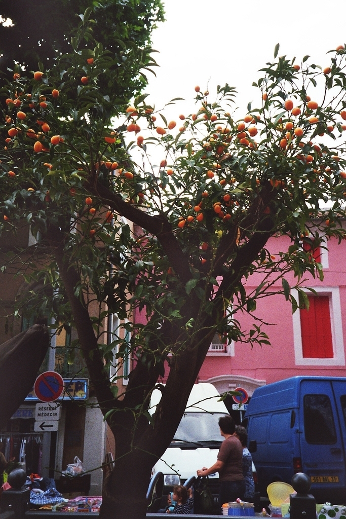 Sur la place - Saint-André-de-Sangonis