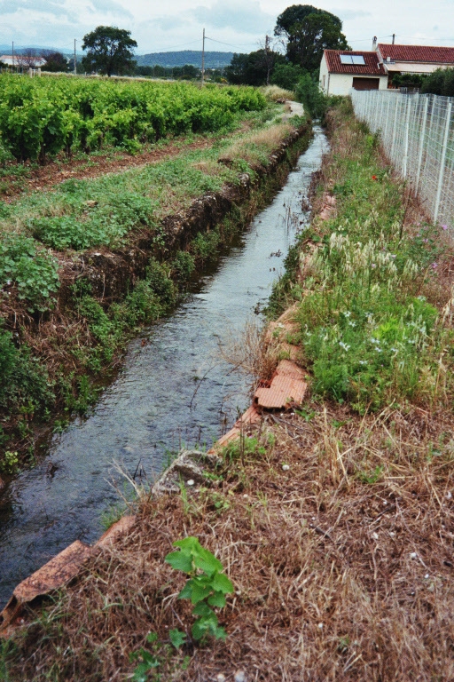 La Lergue à St André - Saint-André-de-Sangonis