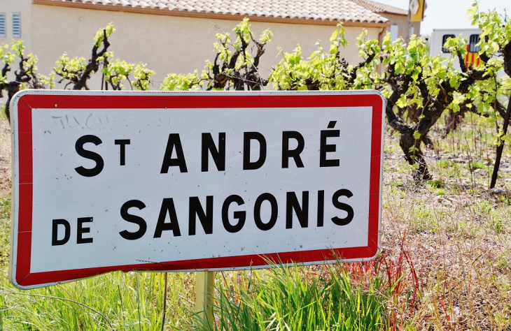  - Saint-André-de-Sangonis