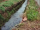 la Lergue à St André