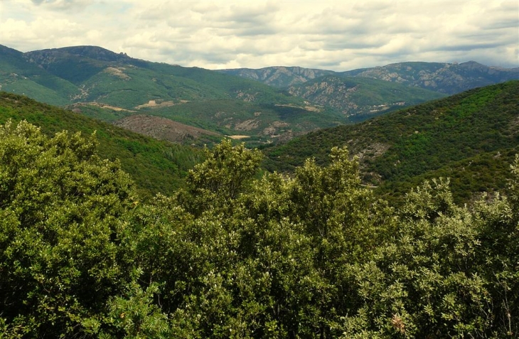 Sainte-Etienne-d'Albagnan - Saint-Étienne-d'Albagnan