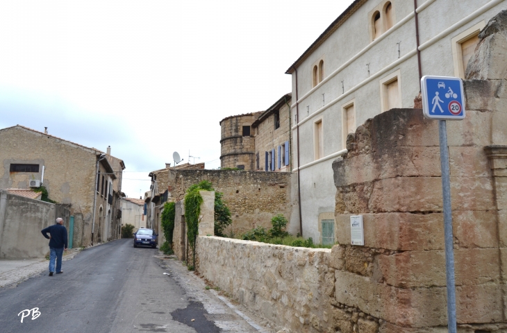 Ruines du Château Seigneurial 14 Em Siécle - Saint-Geniès-de-Fontedit