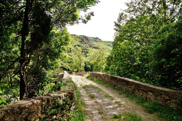 Pont-Romain - Saint-Gervais-sur-Mare