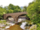 Pont-Romain sur La Mare