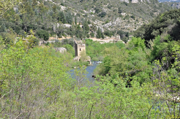 Le Moulin de la Tour - Saint-Guilhem-le-Désert