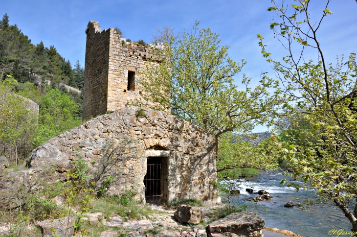 Le Moulin de la Tour - Saint-Guilhem-le-Désert