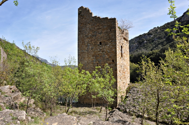 Le Moulin de la Tour - Saint-Guilhem-le-Désert