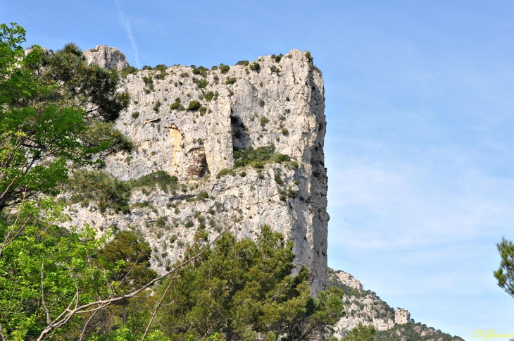  Roc de la Bissonne - Saint-Guilhem-le-Désert