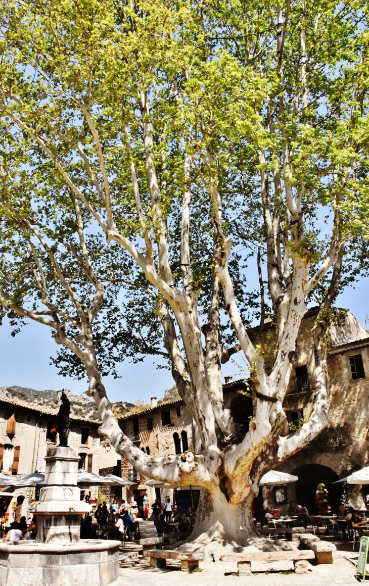 La Commune - Saint-Guilhem-le-Désert