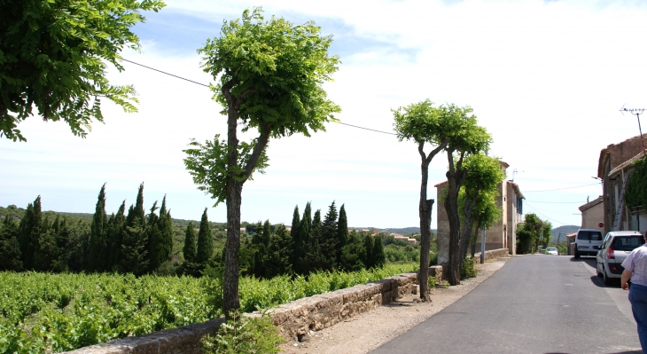  - Saint-Jean-de-Minervois