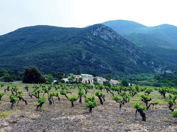 Vue sur le village - Saint-Julien