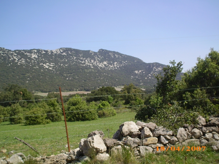 Vue pic saint loup - Saint-Mathieu-de-Tréviers