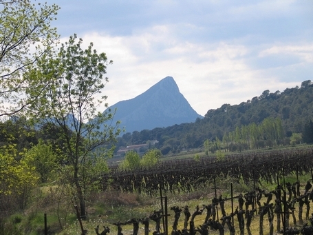 Pic Saint-Loup - Saint-Mathieu-de-Tréviers