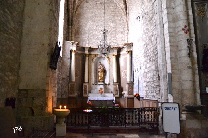 Cathédrale Saint-Pons  - Saint-Pons-de-Thomières