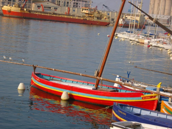 Barques dans le port - Sète