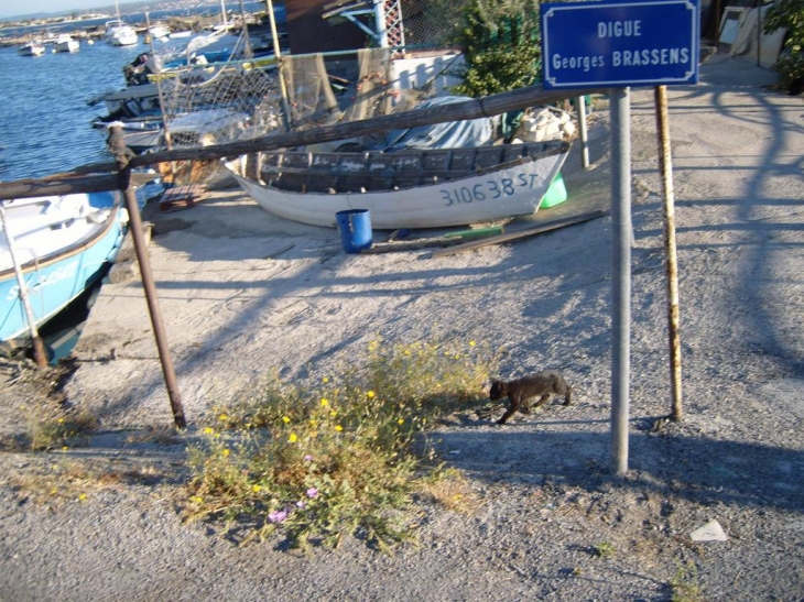 La pointe courte - Sète