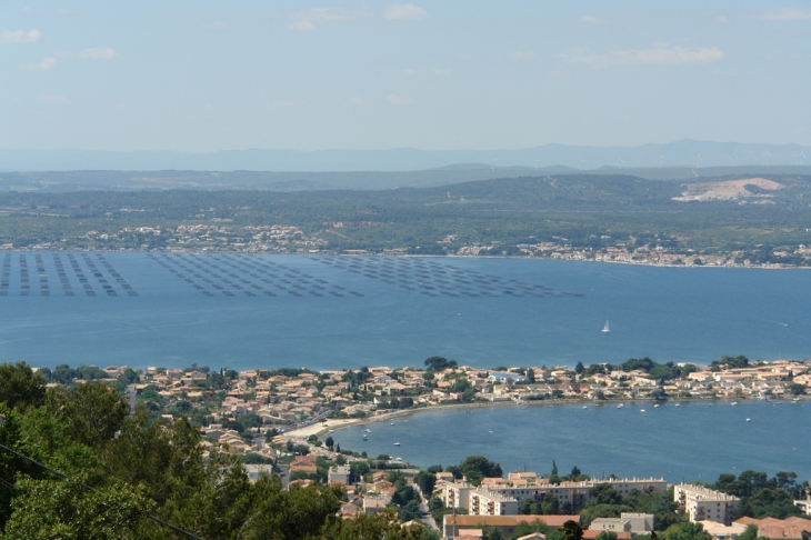 Parc à huîtres de Bouzigues - Sète