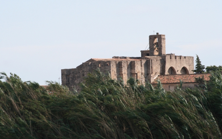 Eglise Ste Léocadie - Vic-la-Gardiole