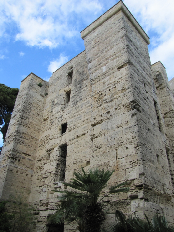 Gigantesque cathedrale-st-pierre-de-maguelone - Villeneuve-lès-Maguelone