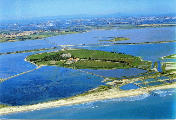 Vue aérienne de Maguelone (carte postale de 2000) - Villeneuve-lès-Maguelone