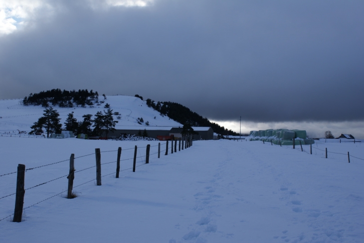 PLATEAU DE LARZALIER - Allenc