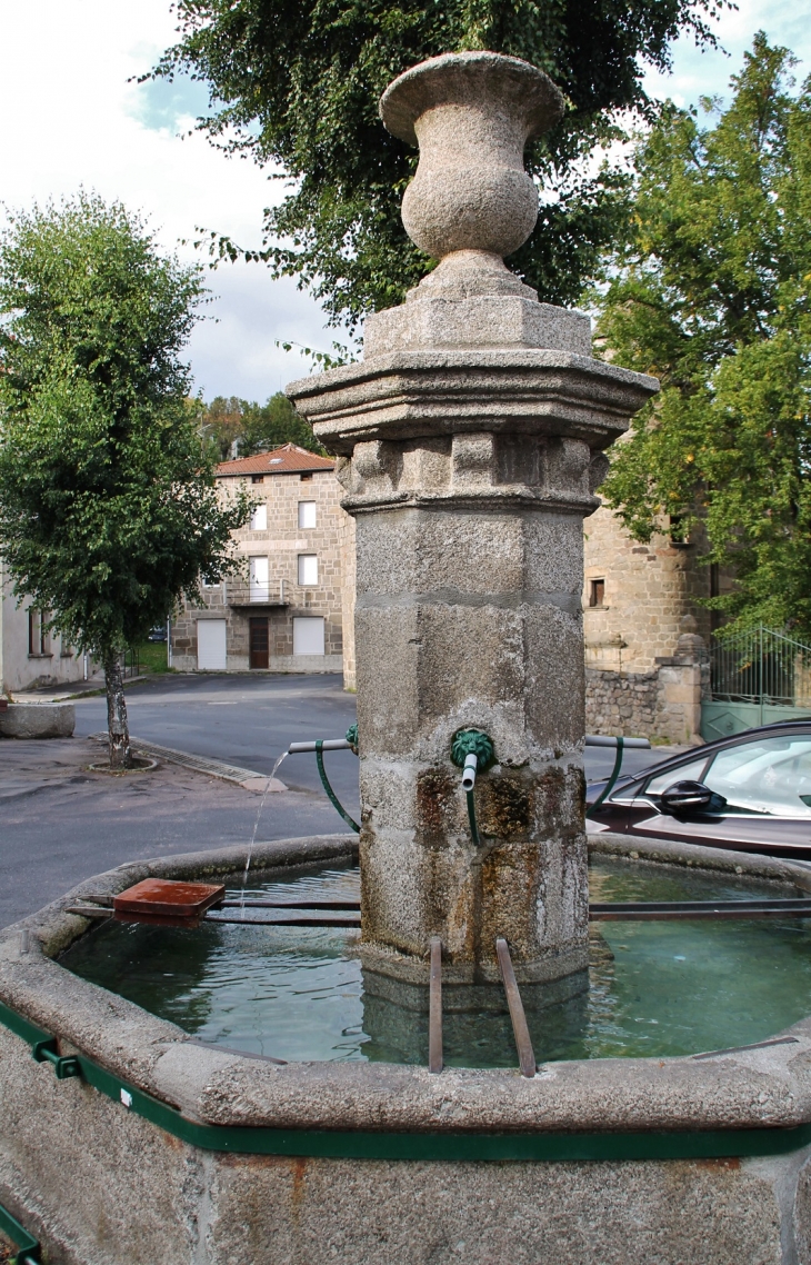 Fontaine - Chambon-le-Château